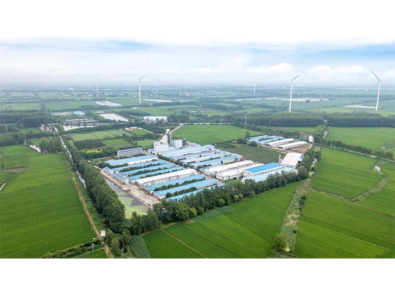2023年中央一號(hào)文件出爐，畜禽產(chǎn)業(yè)應(yīng)抓住哪些新機(jī)遇？