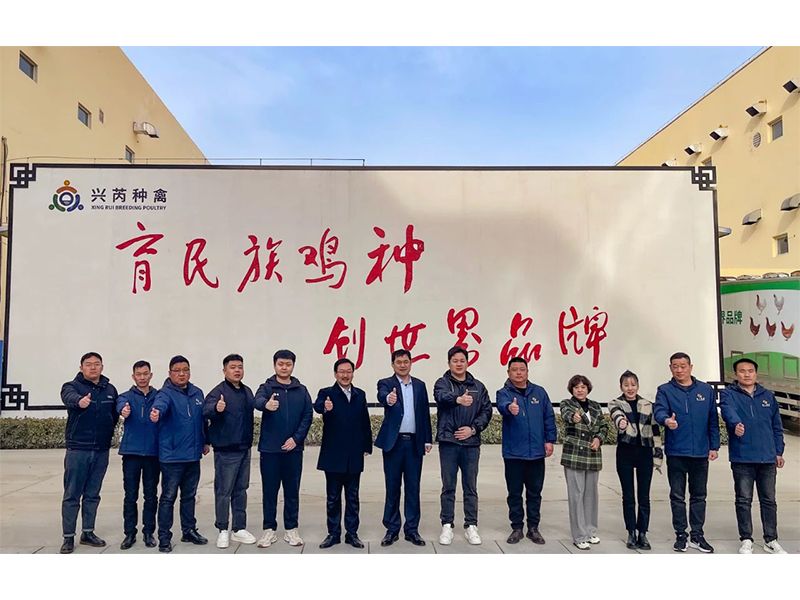 參觀學(xué)習(xí)促進步 交流合作贏發(fā)展︱卓一牧業(yè)赴興芮種禽、峪口禽業(yè)與瑞普生物參觀訪學(xué)