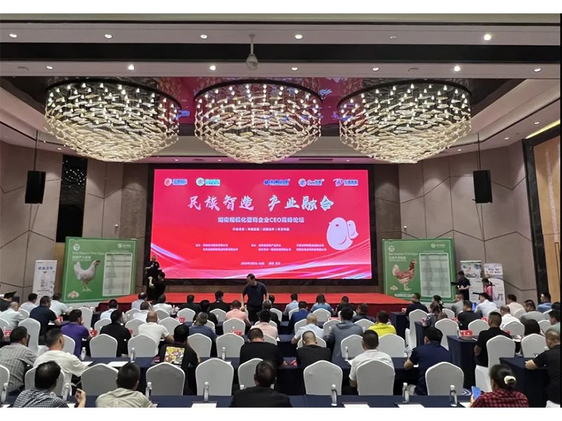 熱烈祝賀湖南規(guī)?；半u企業(yè)CEO高峰論壇取得圓滿成功！
